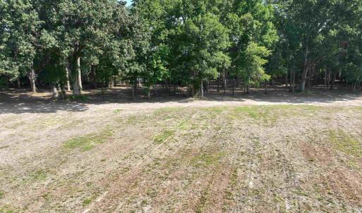 Photo #20 of SOLD property in 152 Dailey Road, Camden, NC 10.0 acres