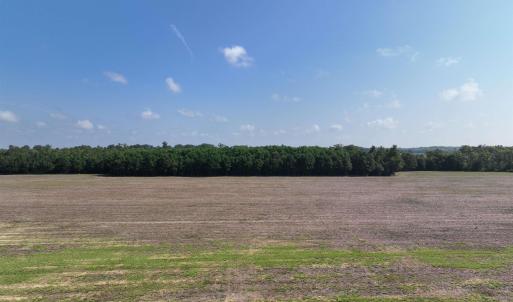 Photo #3 of SOLD property in 152 Dailey Road, Camden, NC 10.0 acres