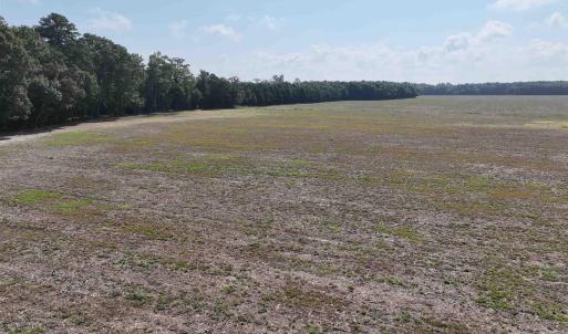 Photo #21 of SOLD property in 152 Dailey Road, Camden, NC 10.0 acres