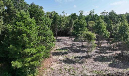Photo #23 of SOLD property in 152 Dailey Road, Camden, NC 10.0 acres