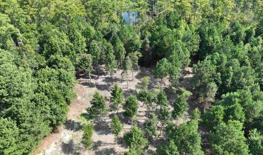 Photo #24 of SOLD property in 152 Dailey Road, Camden, NC 10.0 acres