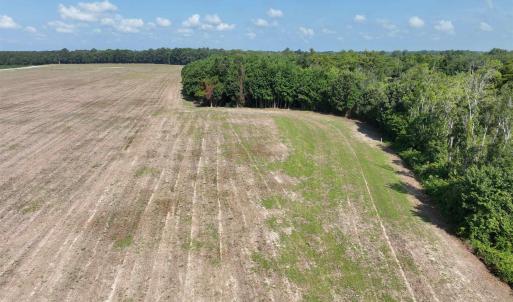 Photo #29 of SOLD property in 152 Dailey Road, Camden, NC 10.0 acres