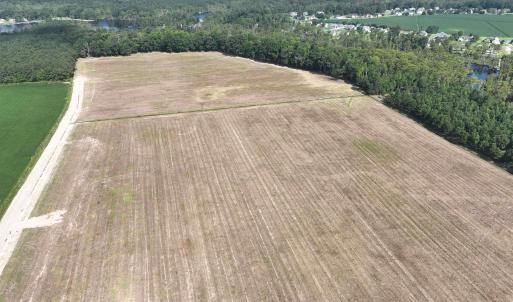 Photo #5 of SOLD property in 152 Dailey Road, Camden, NC 10.0 acres