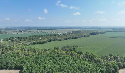 Photo #9 of SOLD property in 152 Dailey Road, Camden, NC 10.0 acres