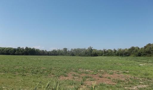 Photo #1 of SOLD property in 152 Dailey Road, Camden, NC 10.0 acres