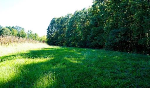 Photo #13 of 5891 Turner Smith, Browns Summit, NC 24.6 acres