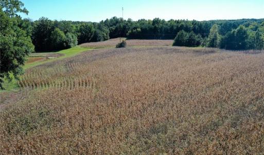 Photo #17 of 5891 Turner Smith, Browns Summit, NC 24.6 acres
