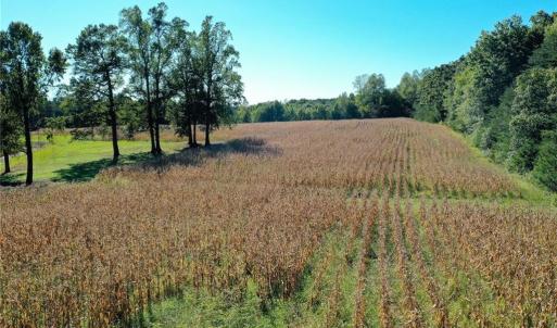 Photo #16 of 5891 Turner Smith, Browns Summit, NC 24.6 acres