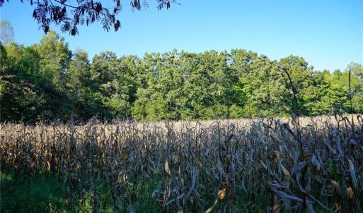 Photo #9 of 5891 Turner Smith, Browns Summit, NC 24.6 acres