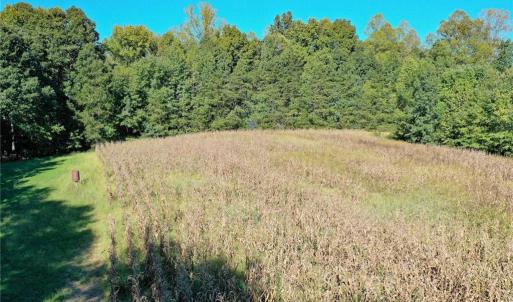 Photo #18 of 5891 Turner Smith, Browns Summit, NC 24.6 acres