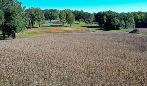 Photo #15 of 5891 Turner Smith, Browns Summit, NC 24.6 acres