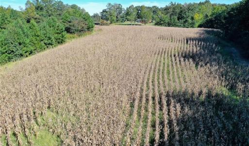 Photo #19 of 5891 Turner Smith, Browns Summit, NC 24.6 acres
