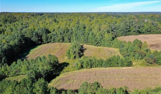 Photo #4 of 5891 Turner Smith, Browns Summit, NC 24.6 acres