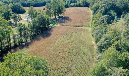 Photo #8 of 5891 Turner Smith, Browns Summit, NC 24.6 acres