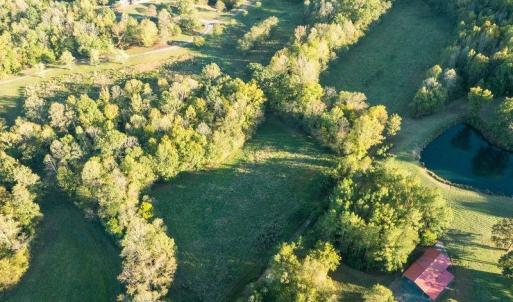 Photo #26 of 8700 Fieldcreek Farms, Germanton, NC 56.2 acres