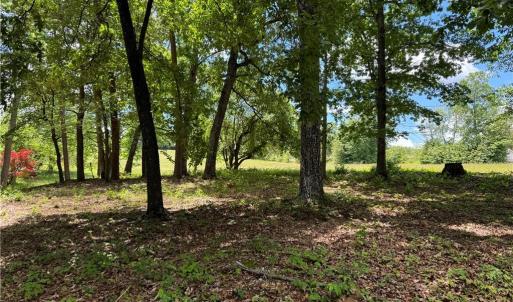 Photo #13 of Barlow, King, NC 11.0 acres