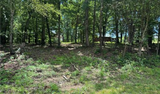 Photo #17 of Barlow, King, NC 11.0 acres