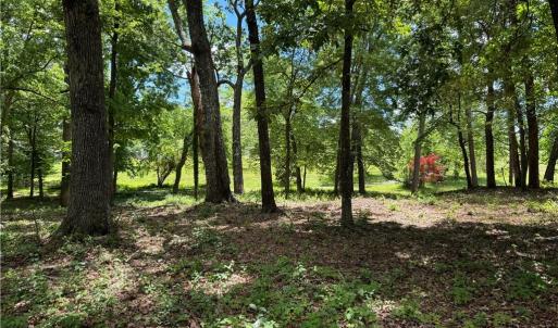 Photo #12 of Barlow, King, NC 11.0 acres