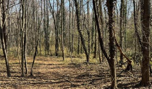 Photo #36 of Barlow, King, NC 11.0 acres
