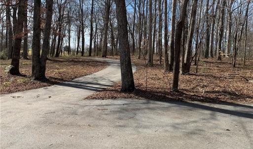 Photo #24 of Barlow, King, NC 11.0 acres