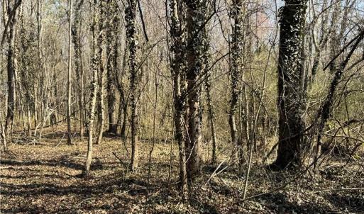 Photo #38 of Barlow, King, NC 11.0 acres