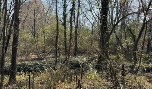Photo #37 of Barlow, King, NC 11.0 acres