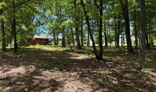 Photo #15 of Barlow, King, NC 11.0 acres