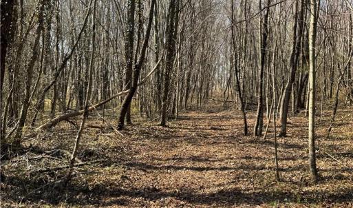 Photo #39 of Barlow, King, NC 11.0 acres