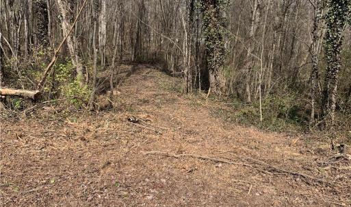 Photo #21 of Barlow, King, NC 11.0 acres