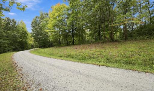 Photo #19 of Lot 1 Pine Lake, Mebane, NC 7.4 acres