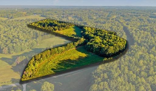 Photo #12 of Washburn, Madison, NC 46.5 acres