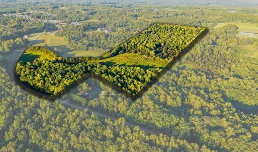 Photo #7 of Washburn, Madison, NC 46.5 acres