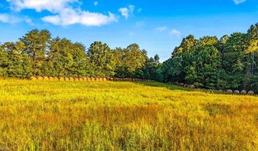 Photo #5 of Washburn, Madison, NC 46.5 acres