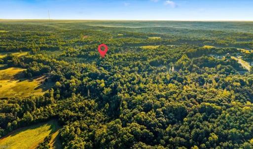 Photo #9 of Washburn, Madison, NC 46.5 acres