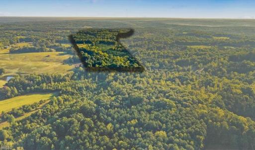 Photo #10 of Washburn, Madison, NC 46.5 acres
