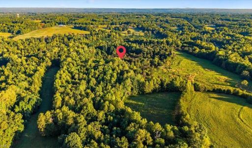 Photo #11 of Washburn, Madison, NC 46.5 acres