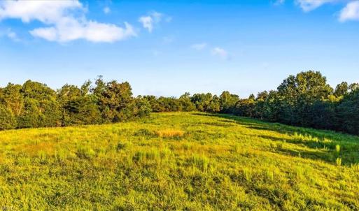 Photo #4 of Washburn, Madison, NC 46.5 acres