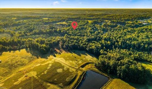 Photo #8 of Washburn, Madison, NC 46.5 acres