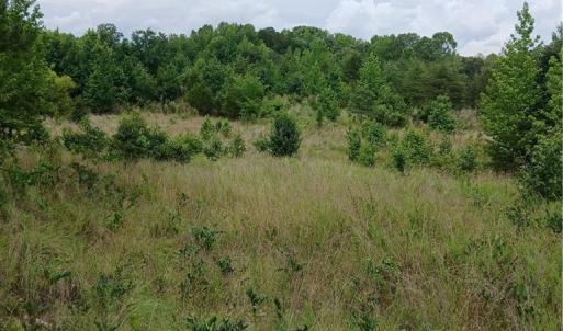 Photo #2 of 1133 Springfield, High Point, NC 17.1 acres