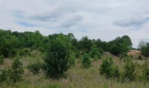 Photo #1 of 1133 Springfield, High Point, NC 17.1 acres