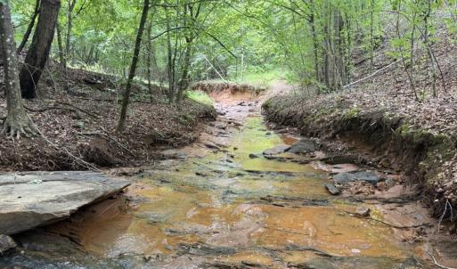 Photo #17 of Mountain View, Germanton, NC 13.9 acres