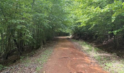 Photo #14 of Mountain View, Germanton, NC 13.9 acres