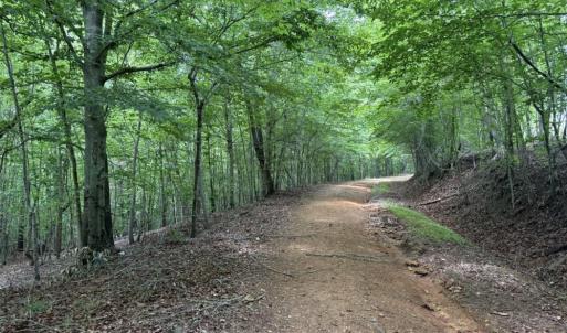 Photo #15 of Mountain View, Germanton, NC 13.9 acres