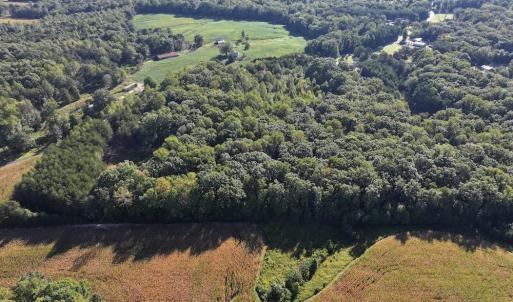 Photo #6 of Liberty Church, Yadkinville, NC 12.6 acres