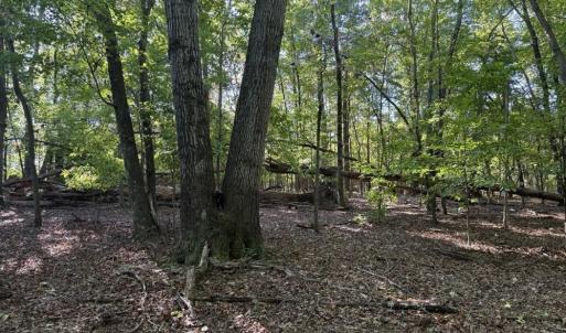 Photo #9 of Liberty Church, Yadkinville, NC 12.6 acres