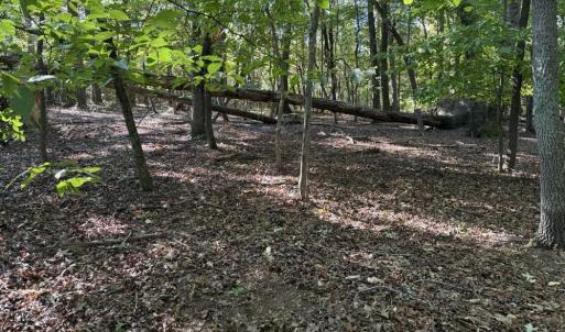 Photo #10 of Liberty Church, Yadkinville, NC 12.6 acres