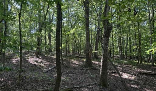 Photo #14 of Liberty Church, Yadkinville, NC 12.6 acres