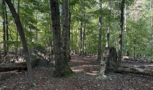 Photo #11 of Liberty Church, Yadkinville, NC 12.6 acres