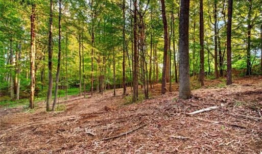 Photo #7 of Seay, Advance, NC 2.1 acres