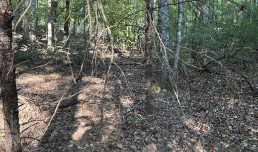 Photo #3 of Smith, Cana, VA 2.2 acres